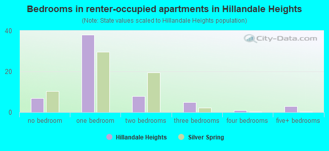 Bedrooms in renter-occupied apartments in Hillandale Heights