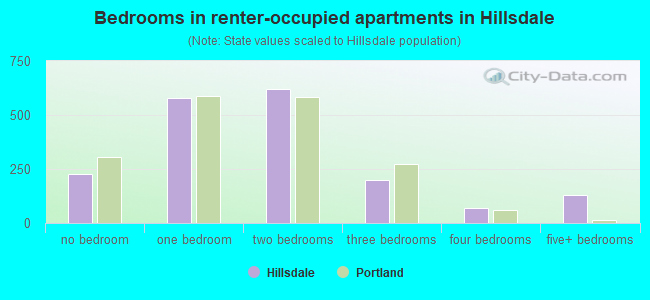 Bedrooms in renter-occupied apartments in Hillsdale