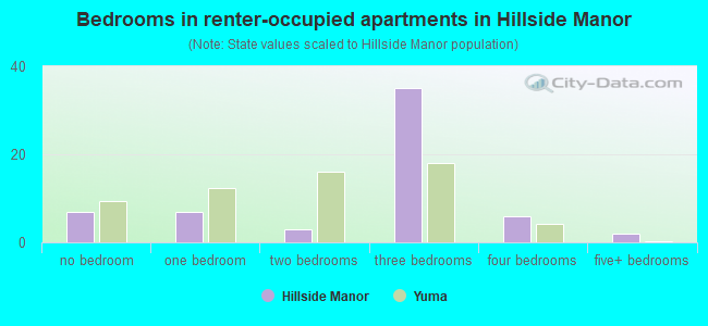 Bedrooms in renter-occupied apartments in Hillside Manor