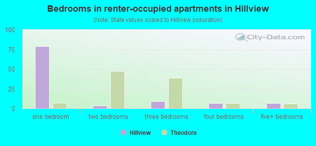 Bedrooms in renter-occupied apartments in Hillview