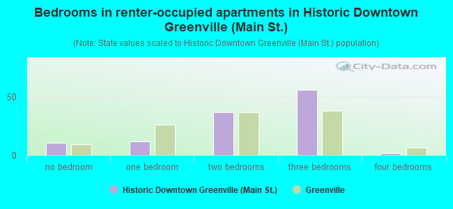 Bedrooms in renter-occupied apartments in Historic Downtown Greenville (Main St.)