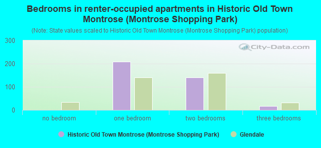 Bedrooms in renter-occupied apartments in Historic Old Town Montrose (Montrose Shopping Park)