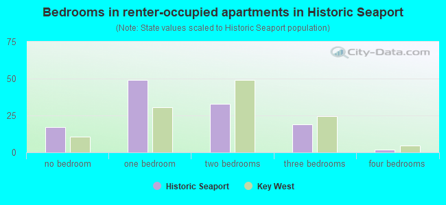 Bedrooms in renter-occupied apartments in Historic Seaport