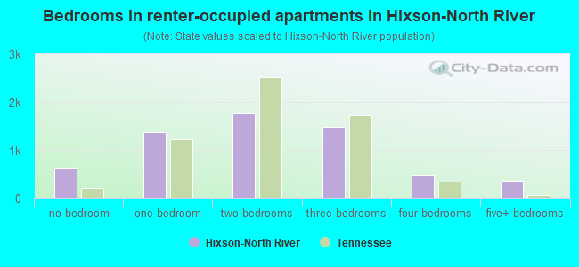 Bedrooms in renter-occupied apartments in Hixson-North River