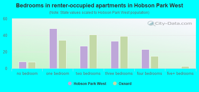 Bedrooms in renter-occupied apartments in Hobson Park West