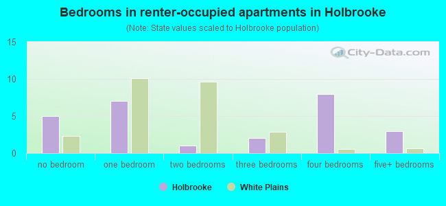Bedrooms in renter-occupied apartments in Holbrooke