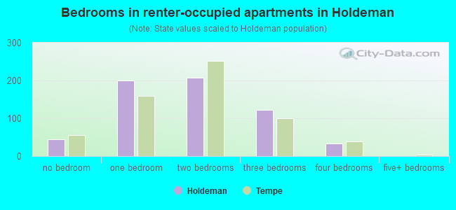 Bedrooms in renter-occupied apartments in Holdeman