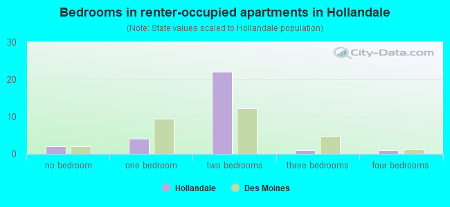 Bedrooms in renter-occupied apartments in Hollandale