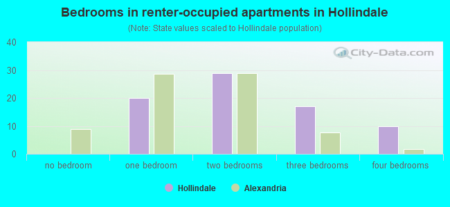 Bedrooms in renter-occupied apartments in Hollindale