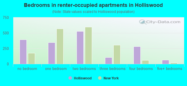 Bedrooms in renter-occupied apartments in Holliswood
