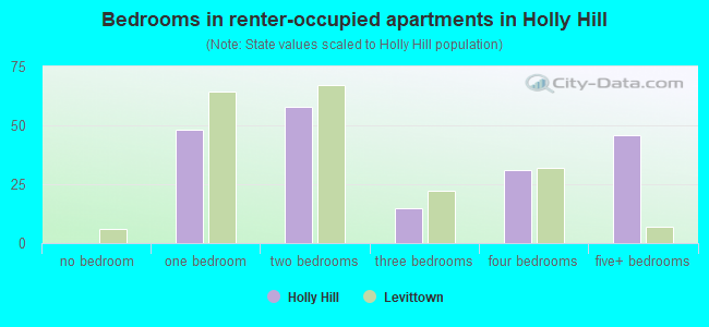 Bedrooms in renter-occupied apartments in Holly Hill