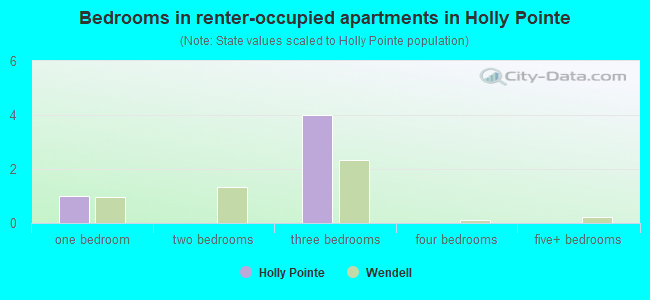 Bedrooms in renter-occupied apartments in Holly Pointe