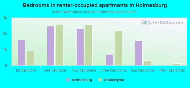 Bedrooms in renter-occupied apartments in Holmesburg