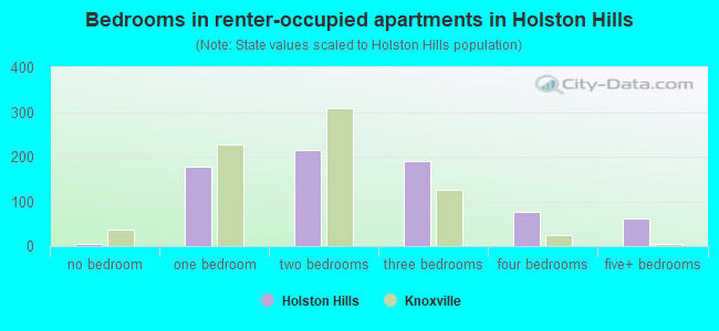 Bedrooms in renter-occupied apartments in Holston Hills
