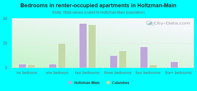 Bedrooms in renter-occupied apartments in Holtzman-Main
