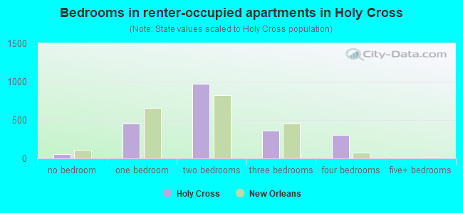 Bedrooms in renter-occupied apartments in Holy Cross