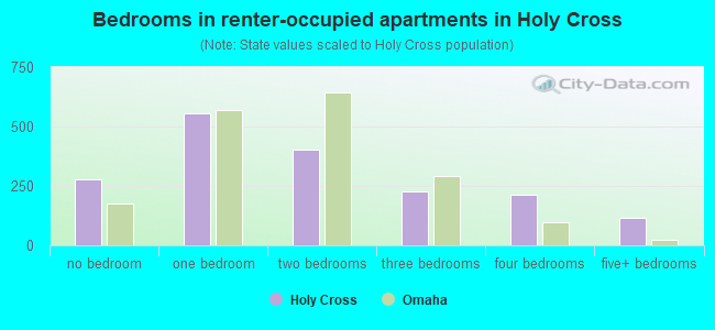 Bedrooms in renter-occupied apartments in Holy Cross