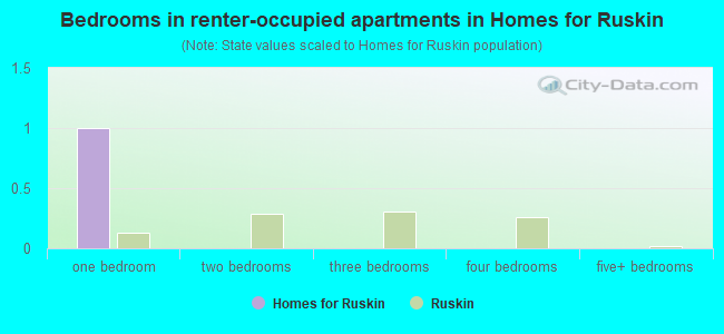 Bedrooms in renter-occupied apartments in Homes for Ruskin