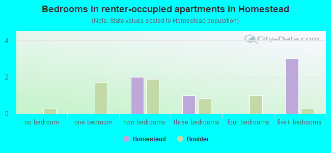Bedrooms in renter-occupied apartments in Homestead