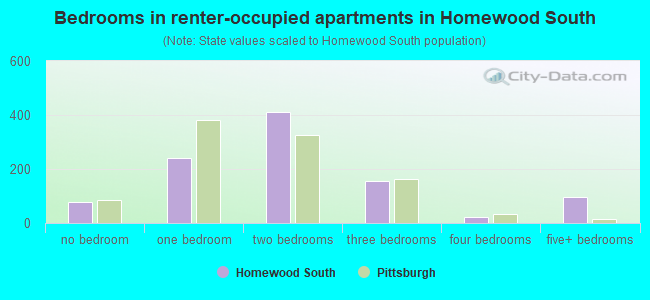 Bedrooms in renter-occupied apartments in Homewood South