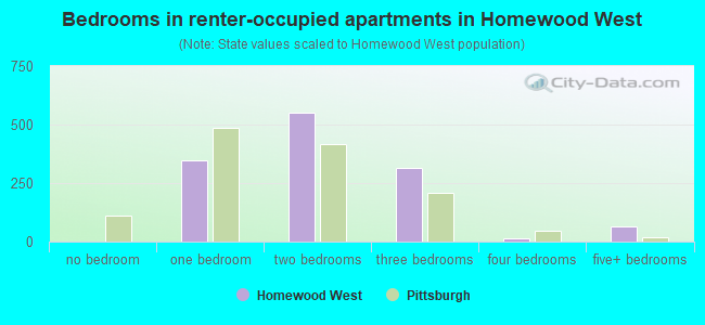 Bedrooms in renter-occupied apartments in Homewood West
