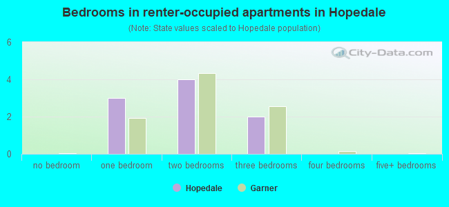 Bedrooms in renter-occupied apartments in Hopedale
