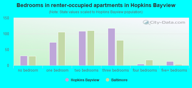 Bedrooms in renter-occupied apartments in Hopkins Bayview