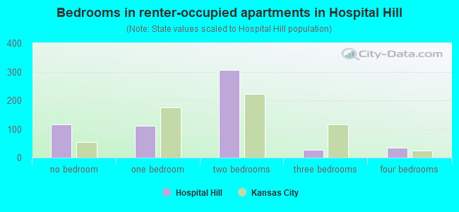 Bedrooms in renter-occupied apartments in Hospital Hill