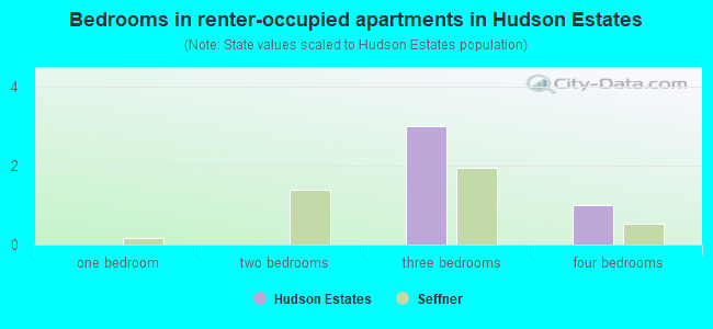 Bedrooms in renter-occupied apartments in Hudson Estates