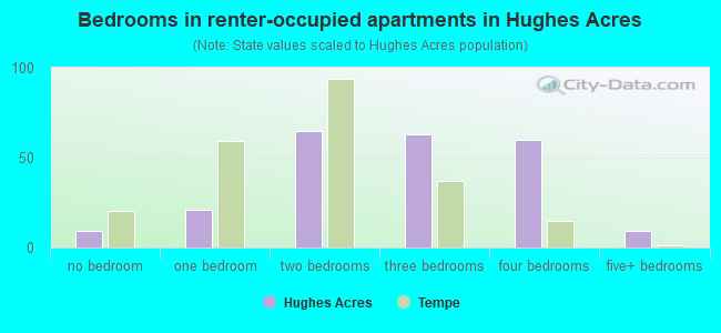 Bedrooms in renter-occupied apartments in Hughes Acres