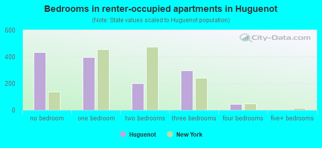 Bedrooms in renter-occupied apartments in Huguenot