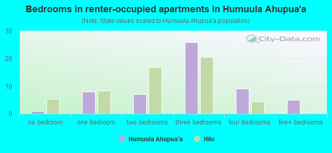 Bedrooms in renter-occupied apartments in Humuula Ahupua`a