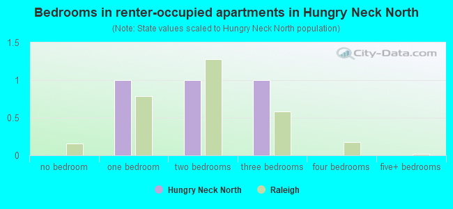 Bedrooms in renter-occupied apartments in Hungry Neck North