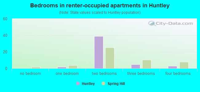Bedrooms in renter-occupied apartments in Huntley