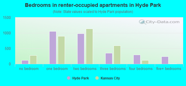 Bedrooms in renter-occupied apartments in Hyde Park