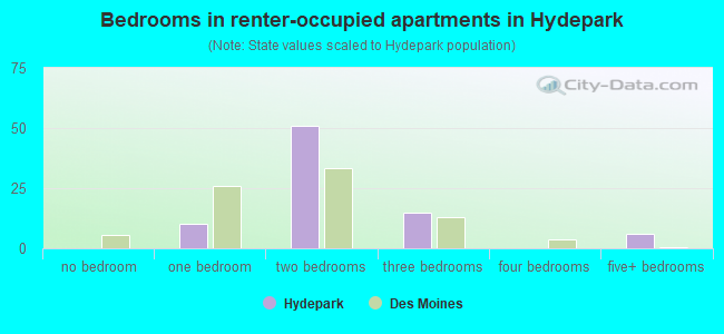 Bedrooms in renter-occupied apartments in Hydepark