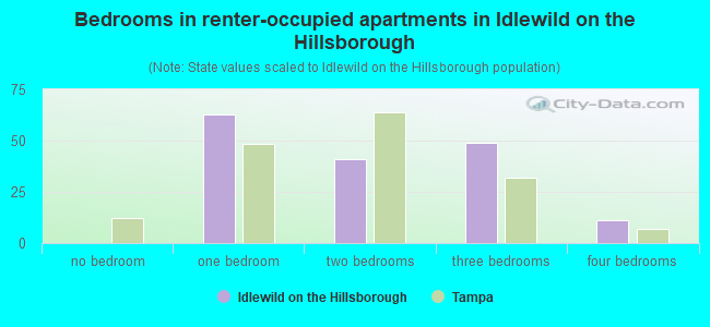 Bedrooms in renter-occupied apartments in Idlewild on the Hillsborough