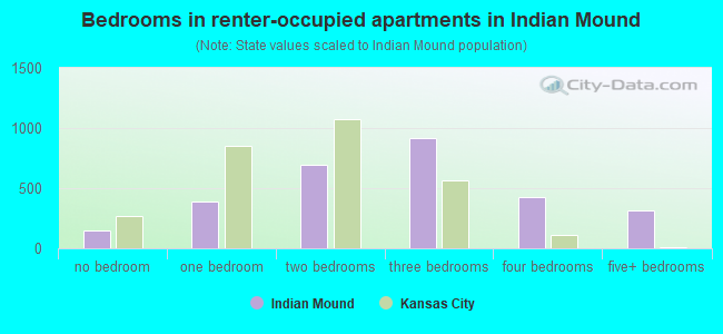 Bedrooms in renter-occupied apartments in Indian Mound