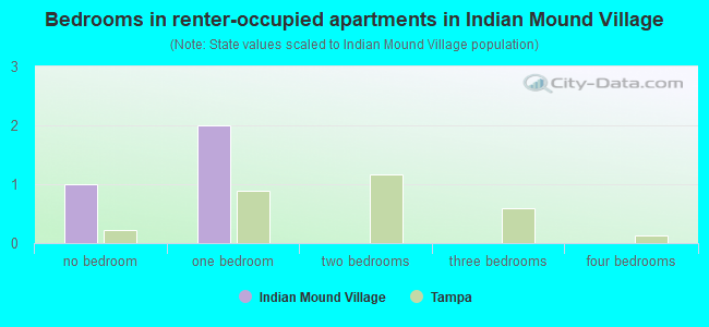 Bedrooms in renter-occupied apartments in Indian Mound Village