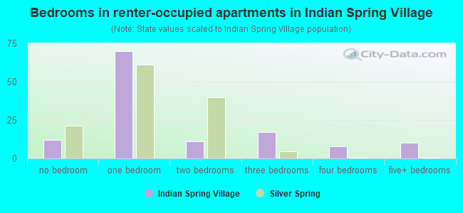 Bedrooms in renter-occupied apartments in Indian Spring Village