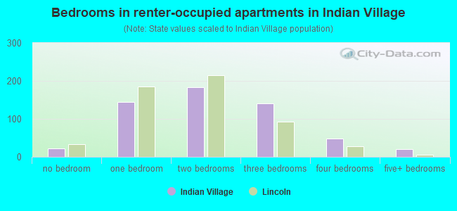 Bedrooms in renter-occupied apartments in Indian Village