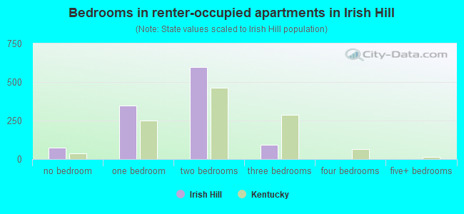 Bedrooms in renter-occupied apartments in Irish Hill
