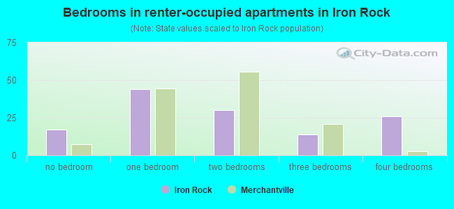 Bedrooms in renter-occupied apartments in Iron Rock