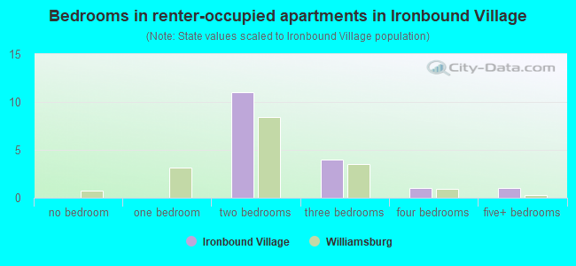 Bedrooms in renter-occupied apartments in Ironbound Village