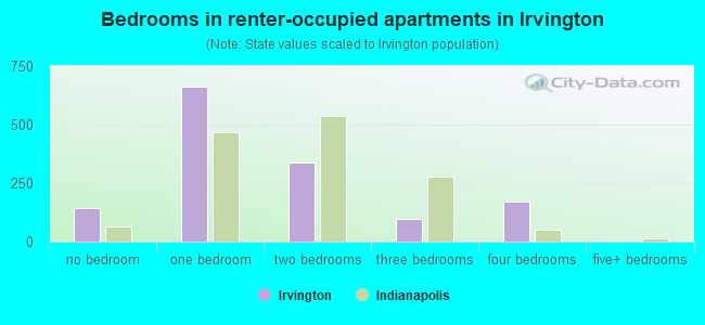 Bedrooms in renter-occupied apartments in Irvington