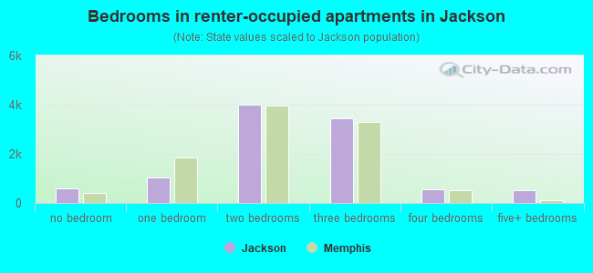 Bedrooms in renter-occupied apartments in Jackson