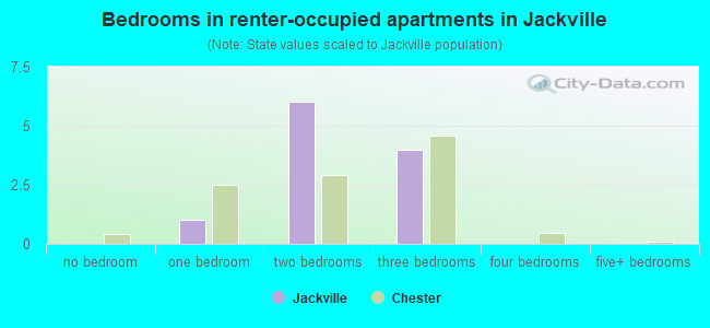 Bedrooms in renter-occupied apartments in Jackville