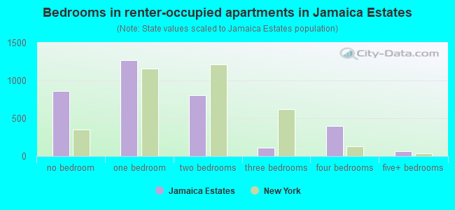 Bedrooms in renter-occupied apartments in Jamaica Estates