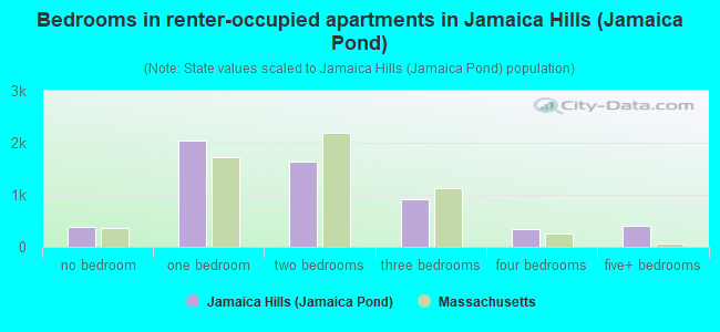 Bedrooms in renter-occupied apartments in Jamaica Hills (Jamaica Pond)