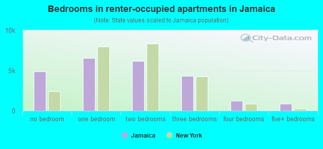 Bedrooms in renter-occupied apartments in Jamaica